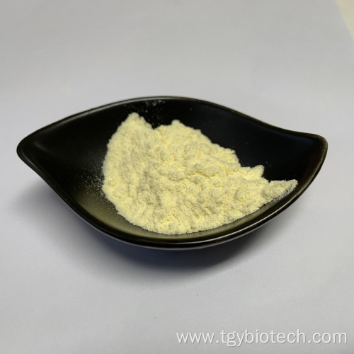 Wholesale Organic Kombucha Tea Extract Powder